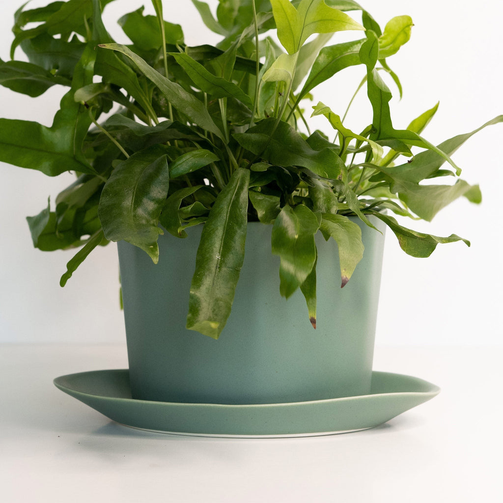Geometric Oval Handmade Porcelain Planter