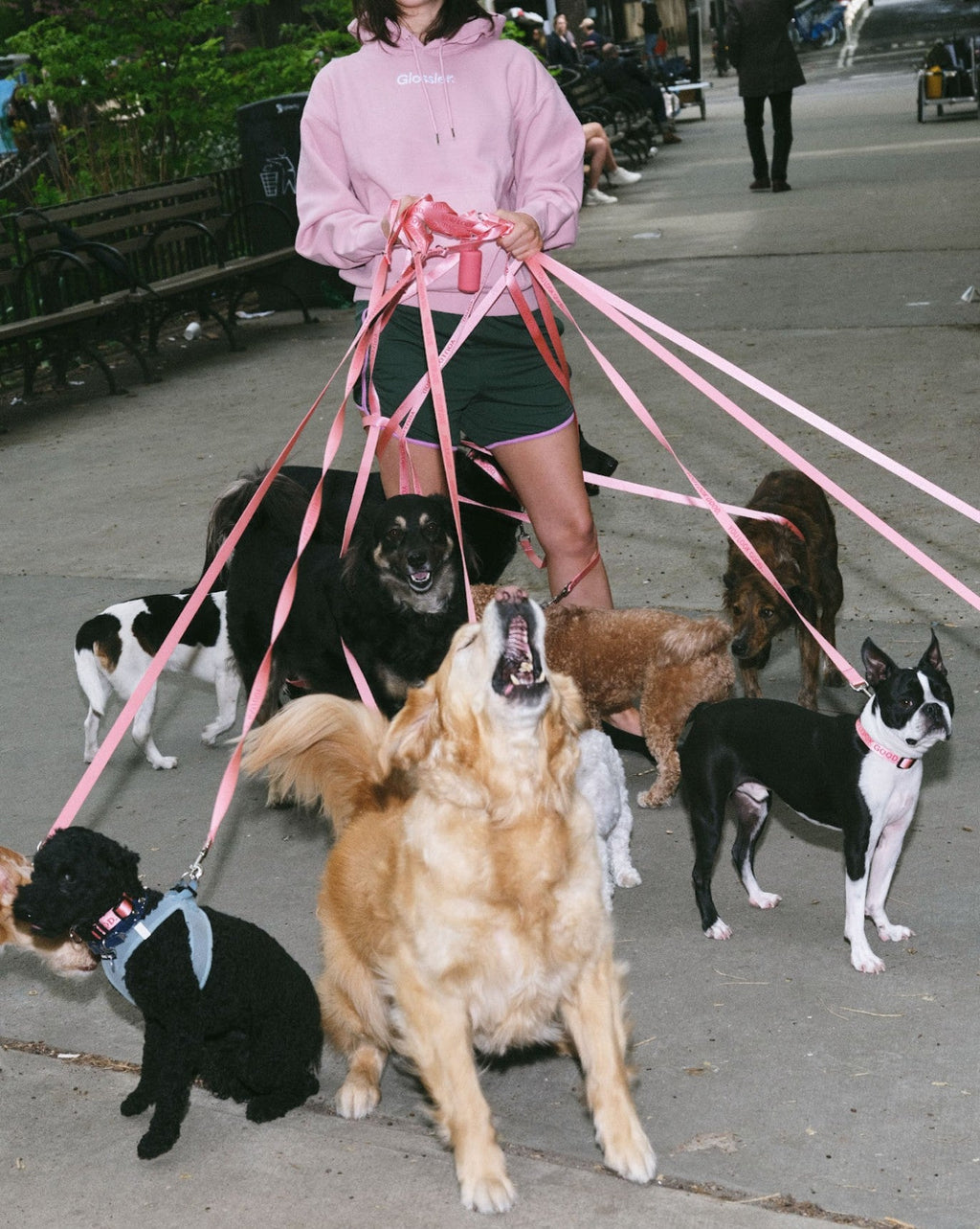 You Look Good Pet Set