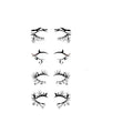 Halloween Eyeliner Stick Scary Fashion Party Makeup Kit Bat Spider Decorative Eyeliner Eyeshadow Stick