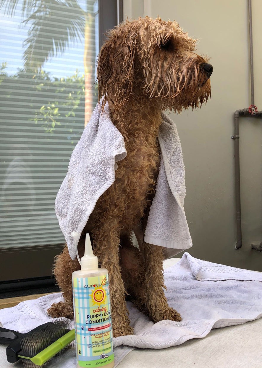 CalmingTM Puppy + Dog Conditioner