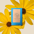 Rudbeckia Hirta "Black Eyed Susan" Seeds