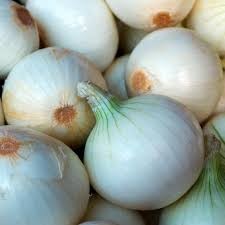 White Sweet Spanish Onion Seeds | Heirloom, Non-GMO | Sweet & Mild | 110 Days | USDA Zones 3-9 |