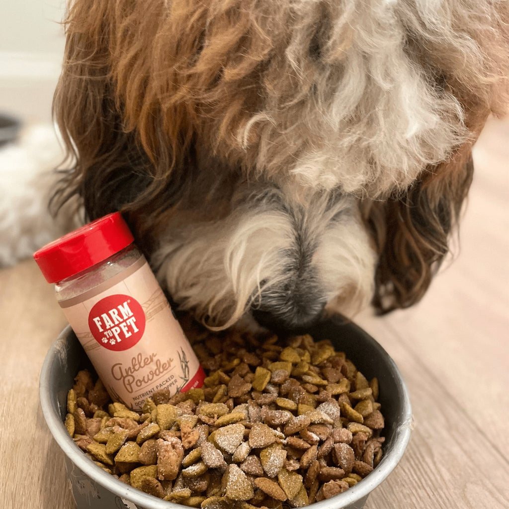 Treat Topper Antler Powder Dog Food Topper | Nutritional Supplement for Dogs and Cats