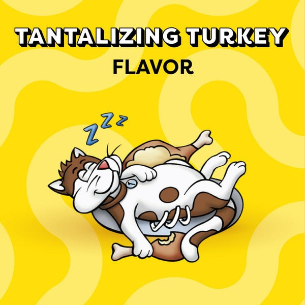 TEMPTATIONS Classic Crunchy and Soft Cat Treats Turkey Flavor