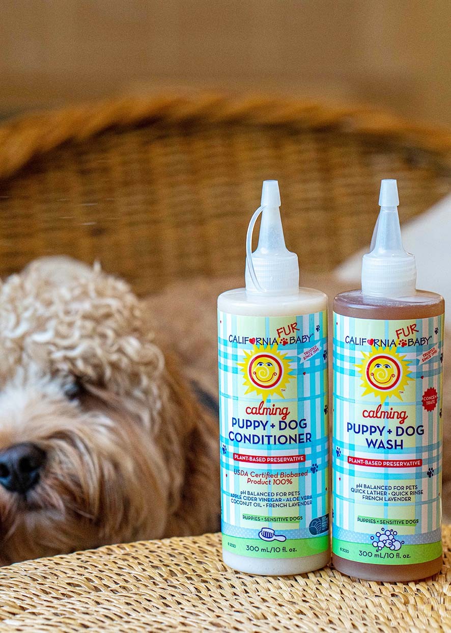 CalmingTM Puppy + Dog Wash & Conditioner Set