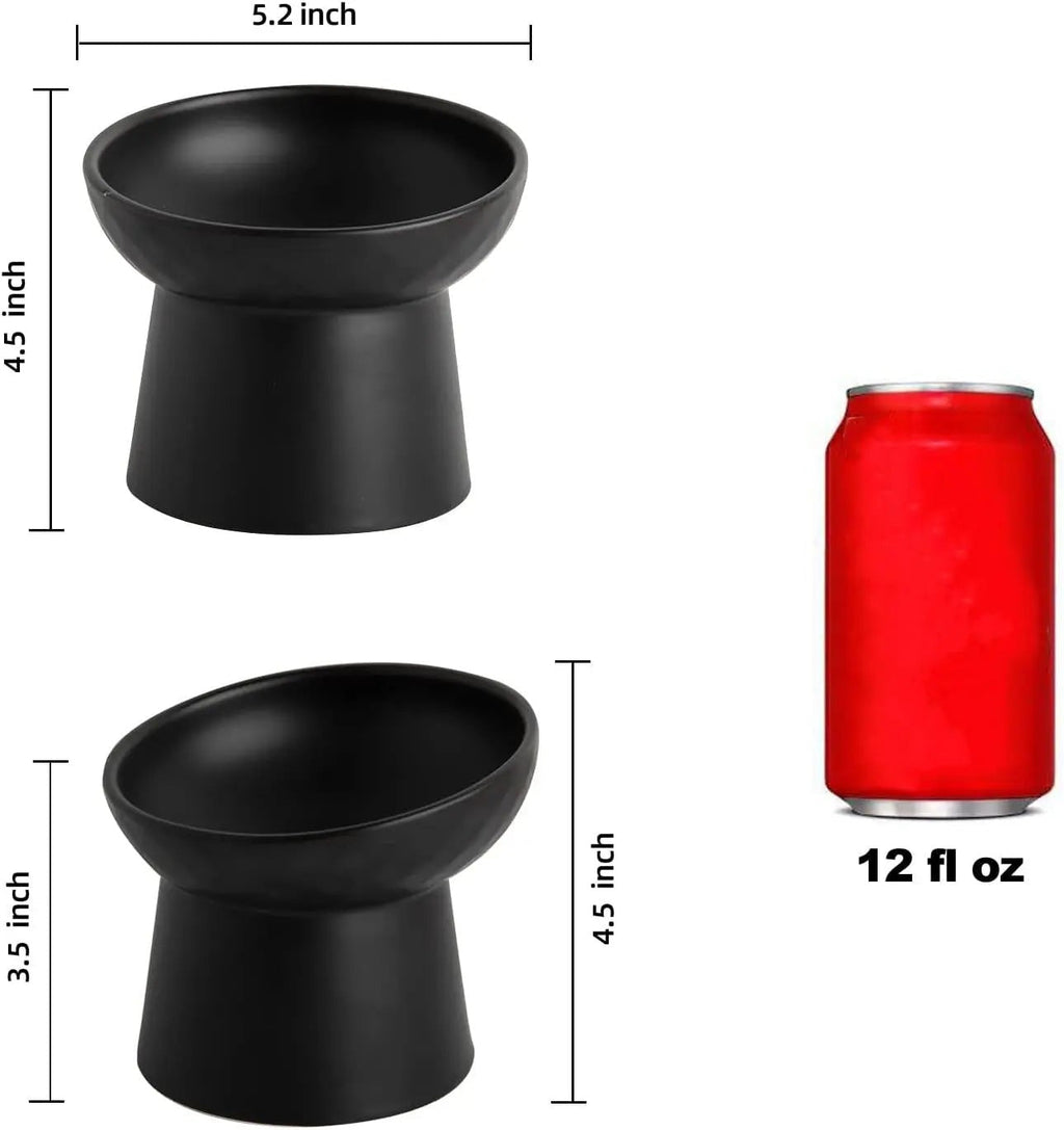 Ceramic Raised Tilted Cat Bowls Set of 2, Elevated Porcelain Feeder