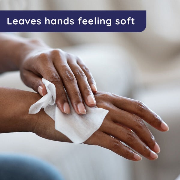 Wet Ones Hand Wipes Canister, Fresh Scent, 40 ct
