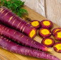 Cosmic Purple Carrot Seeds - Organic Non-GMO Heirloom Pack of 100+ Daucus carota Vegetable Seeds