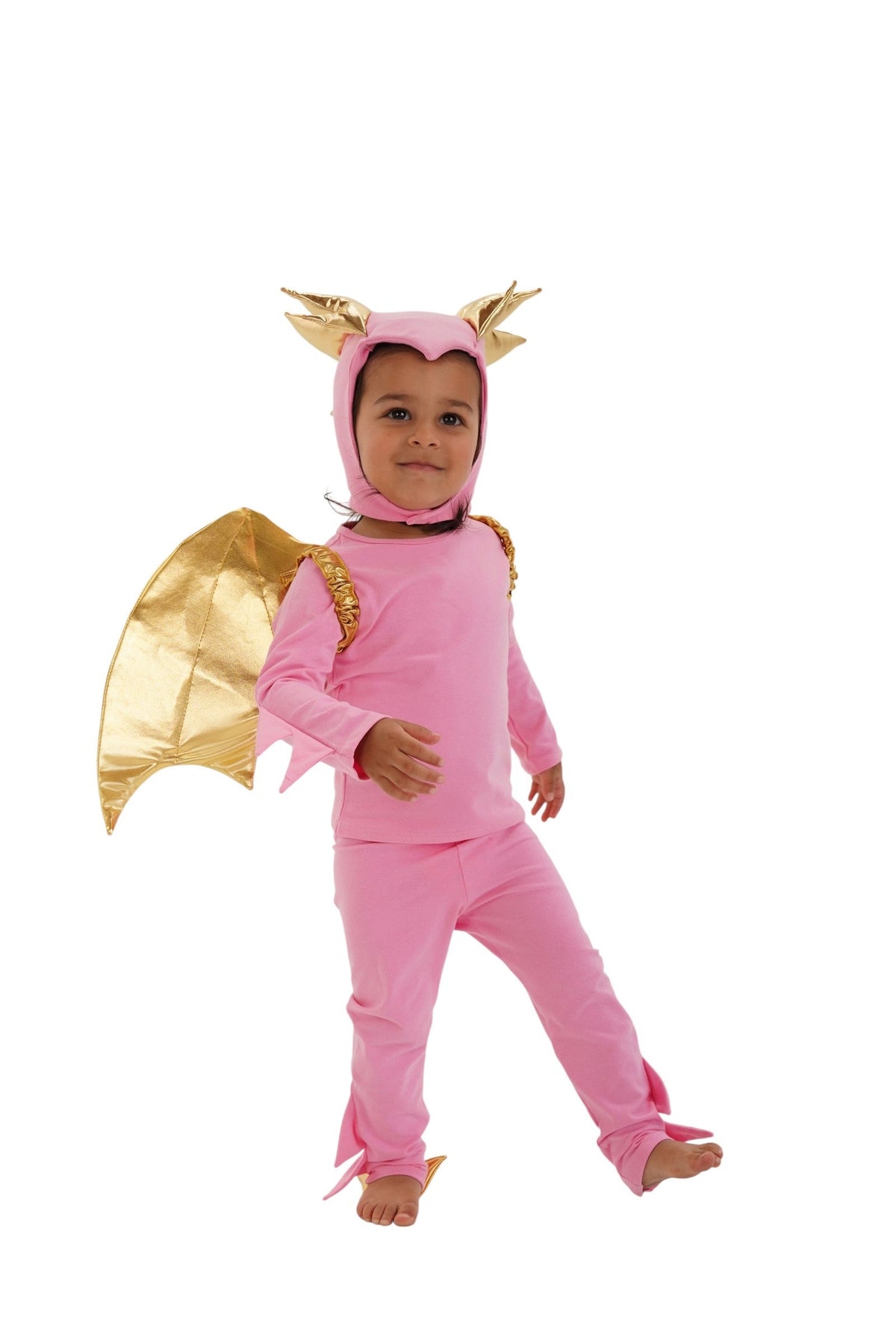 Pink Sky Dragon