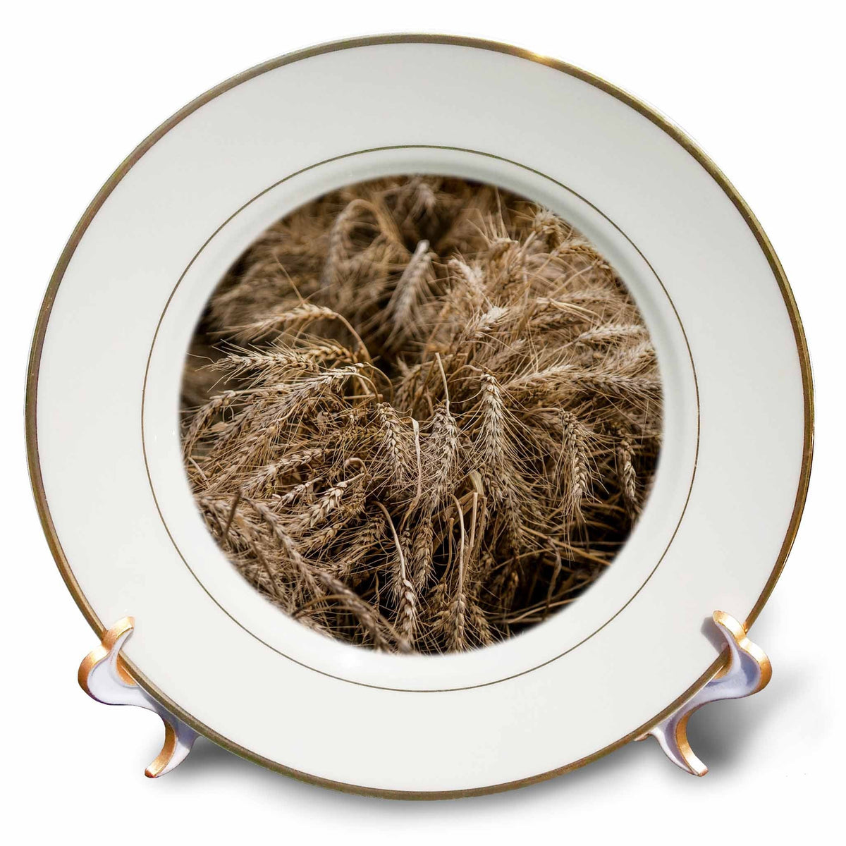 3dRose Beautiful ears of wheat. Fruits of autumn harvest. Thanksgiving theme - Plates (cp_327928)