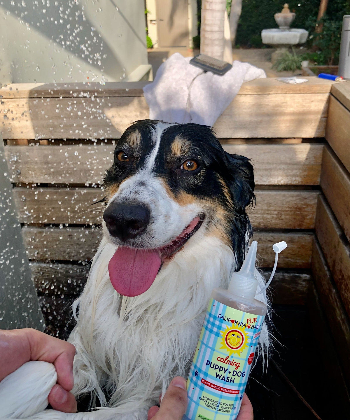 CalmingTM Puppy + Dog Wash