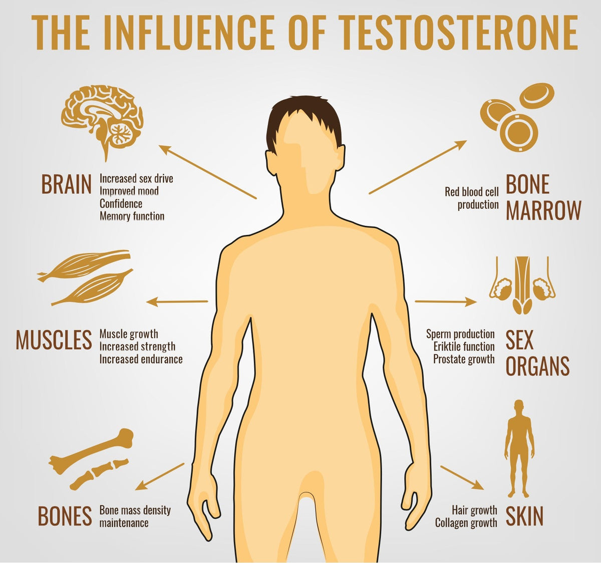 Hormone Therapy for Men