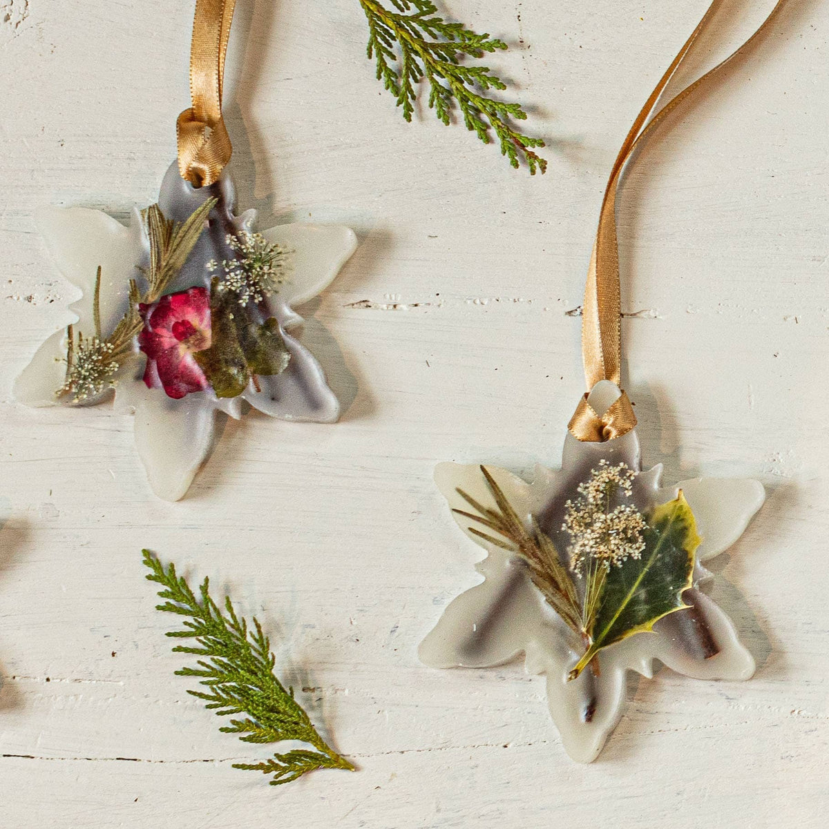 Snowflake Forest /Botanical Sachet