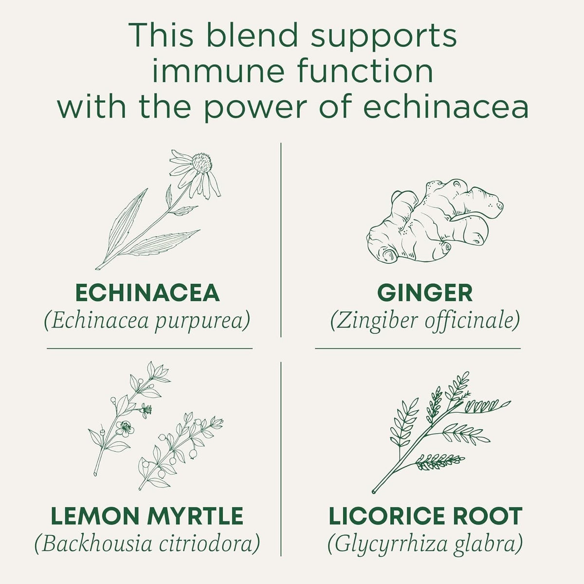 Traditional Medicinals Organic Immune Zoom Lemon Ginger Tea - Clutter-Free Tea Drawer Staple for Intentional Homes