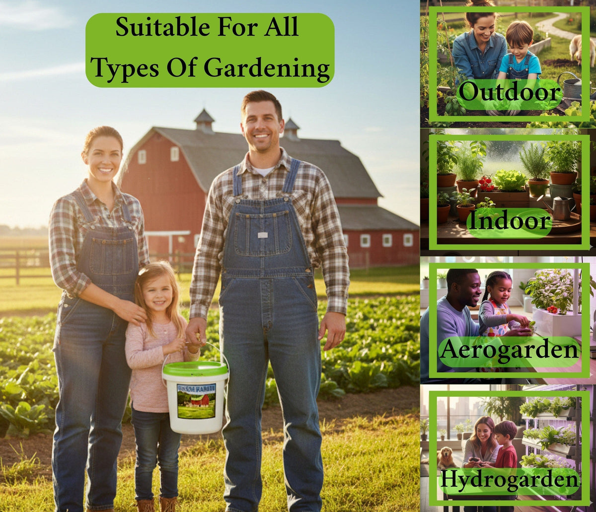 50 Vegetable Seed Packet Vault: 50,000 Heirloom Seeds