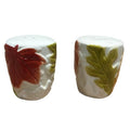 Vintage Red Green Gold Yellow Fall Leaf White Ceramic Salt & Pepper Shaker Set