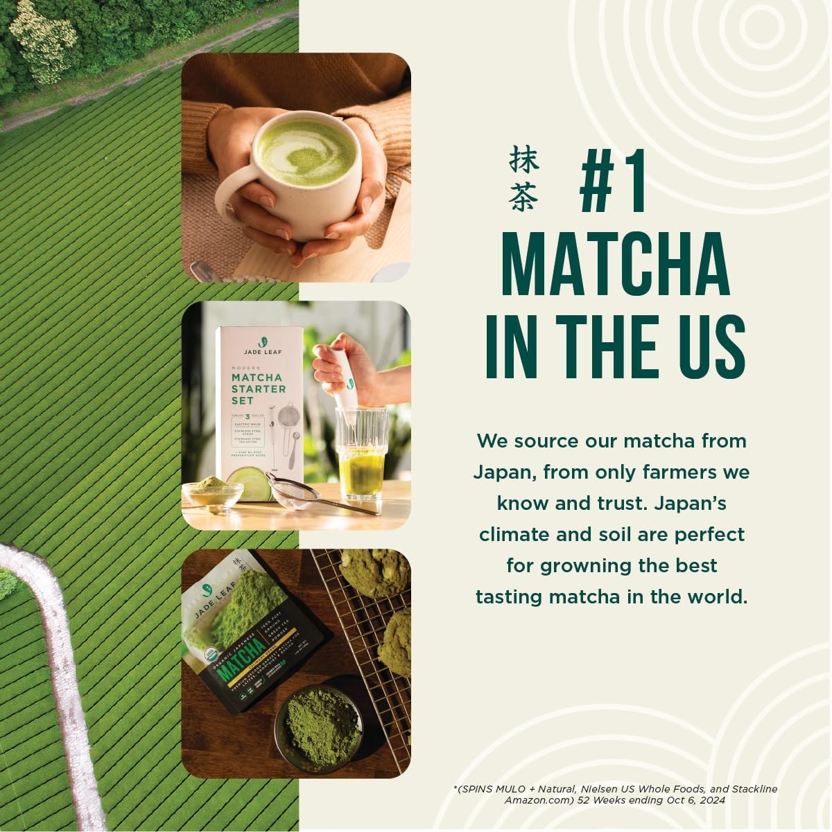 Jade Leaf Matcha Organic Ceremonial Matcha – Wind-Down Tea Ceremony Powder for Stress Relief and Inner Balance