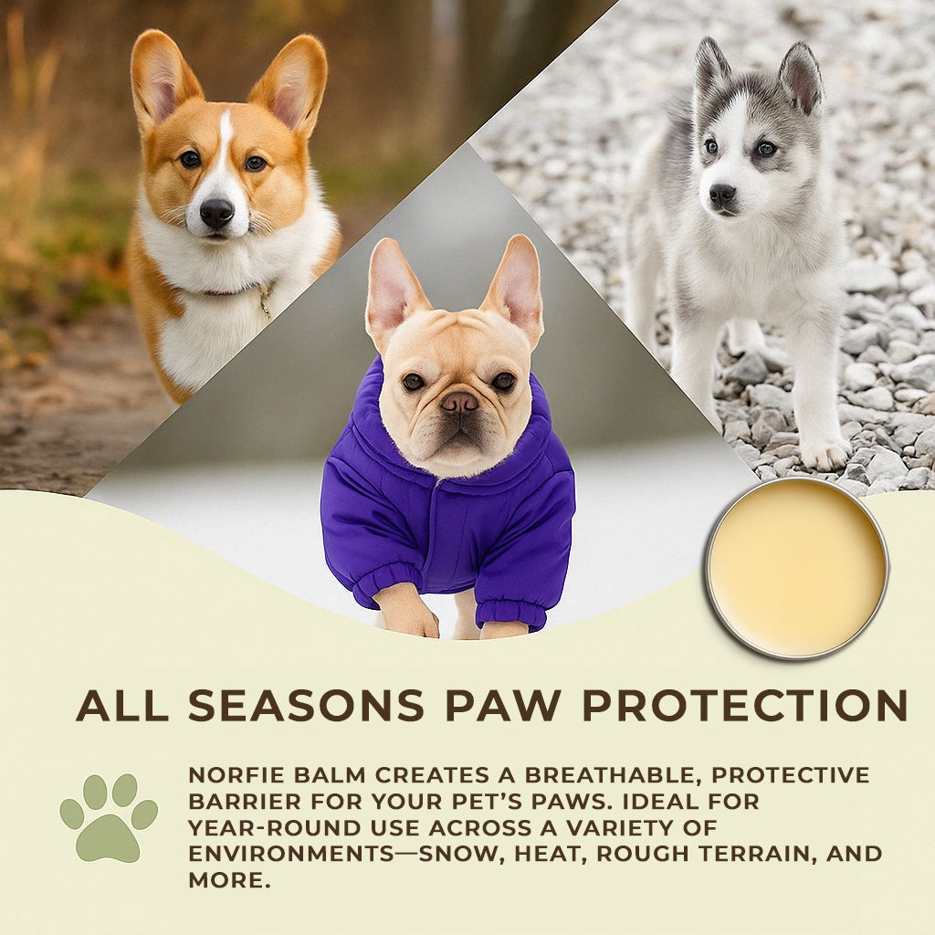 Norfie Repairing Balm – Natural Healing Balm for Paws, Noses & Elbows