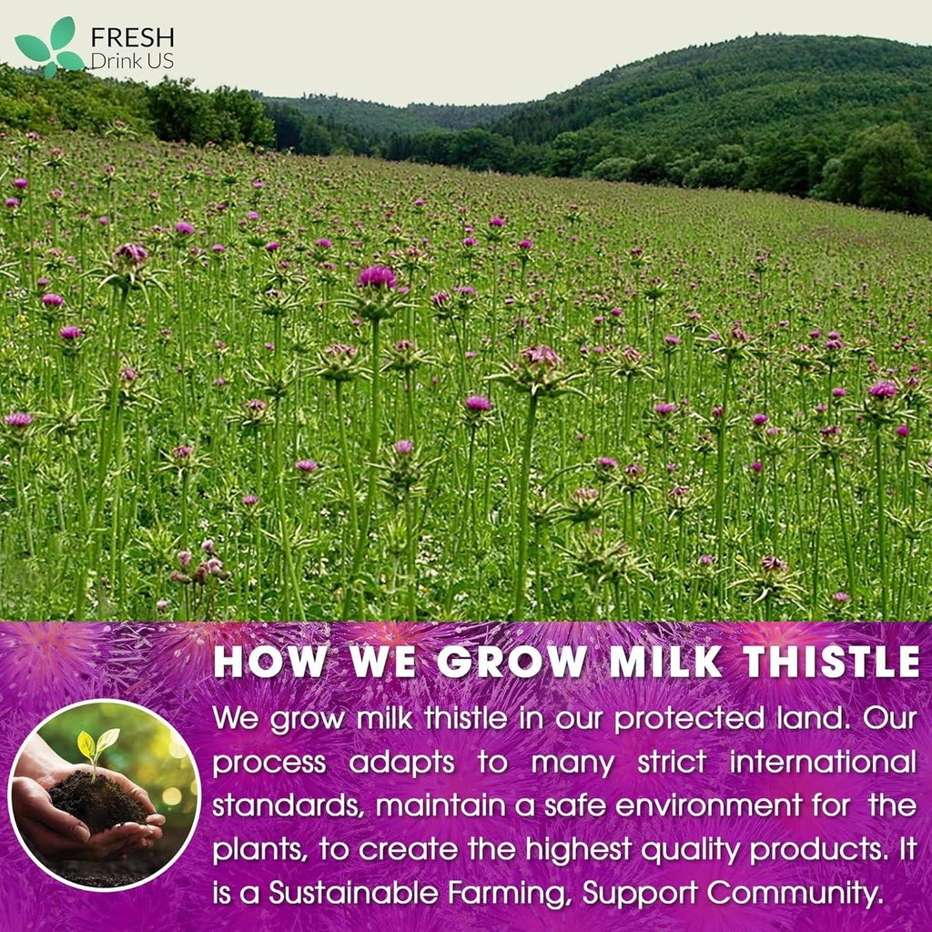 Premium Milk Thistle Tea Bags, 100% Natural & Pure from Milk Thistle Seeds. Milk Thistle Seed Herbal Tea. Milk Thistle Seed Tea. Made with Natural Material Tea Bags. No Sugar, No Caffeine, No Gluten, Vegan.