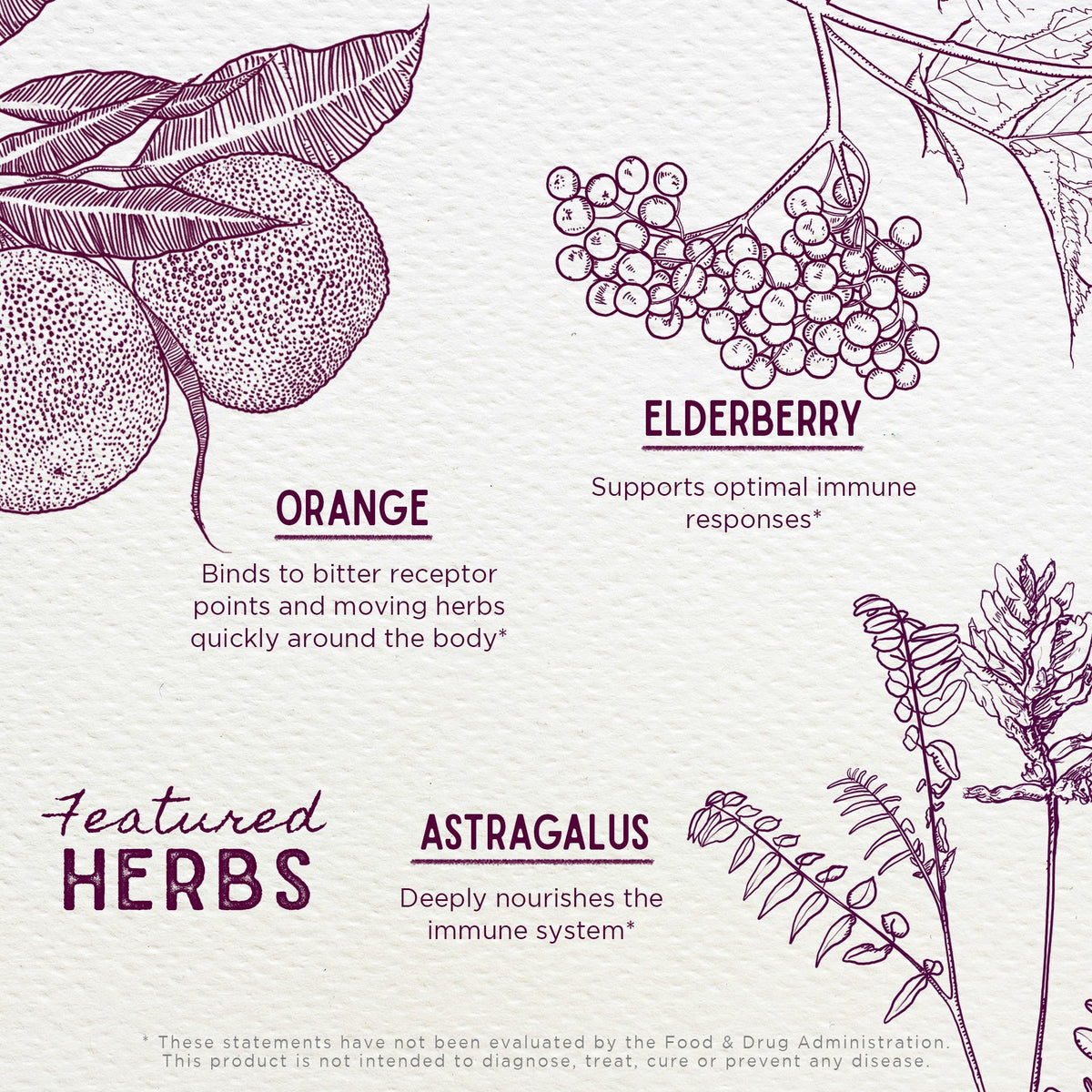 Elderberry Syrup, Everyday Immunity for Kids