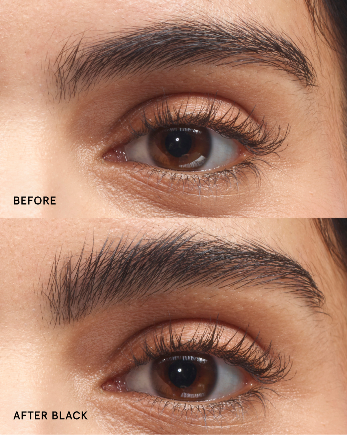 Boy Brow