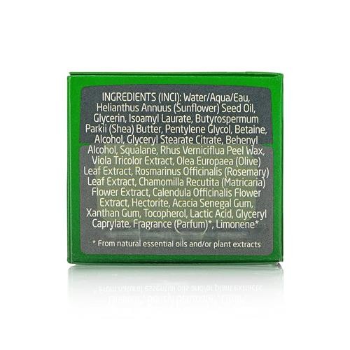 Weleda Skin Food Face Care Nourishing Day Cream, 1.3 Fluid Ounce, Plant Rich Moisturizer With Olive Leaf Extract, Squalane And Chamomile