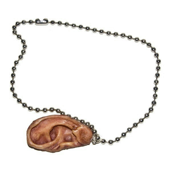 Zombie Cut Off Ear Necklace Costume Accessory