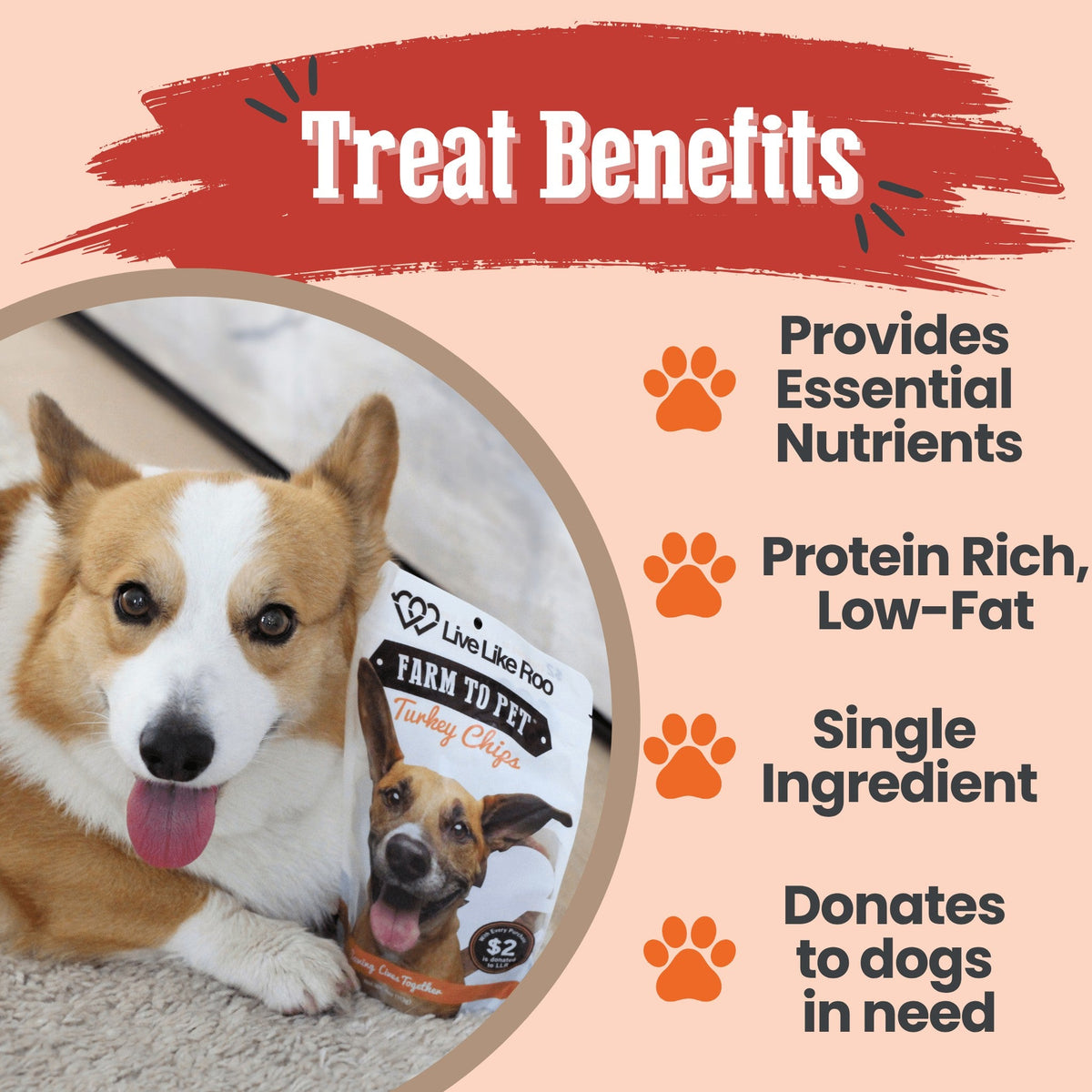 Live Like Roo Turkey Chips for Dogs | Dog Treats That Give Back