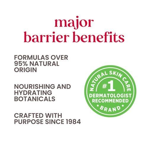 Burts Bees Gifts Ideas - In Full Bloom Lip Balm Set, Original Beeswax, Dragonfruit Lemon, Tropical Pineapple & Strawberry, Natural Origin Lip Treatment, 4 Tubes, 0.15 Oz.