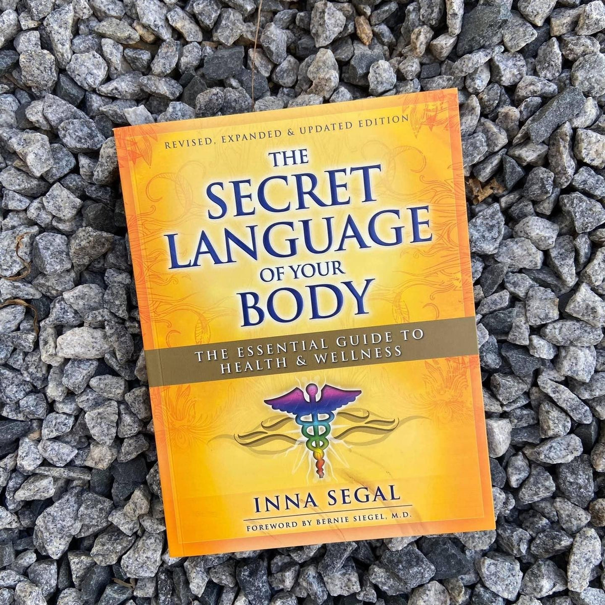 The Secret Language of Your Body – Bedside Guide for Mind-Body Wellness and Nightly Self-Care Rituals