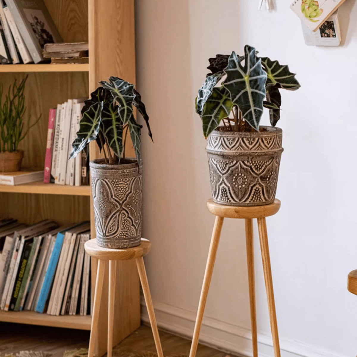 Classic Element Art Planter Clay Flowerpot