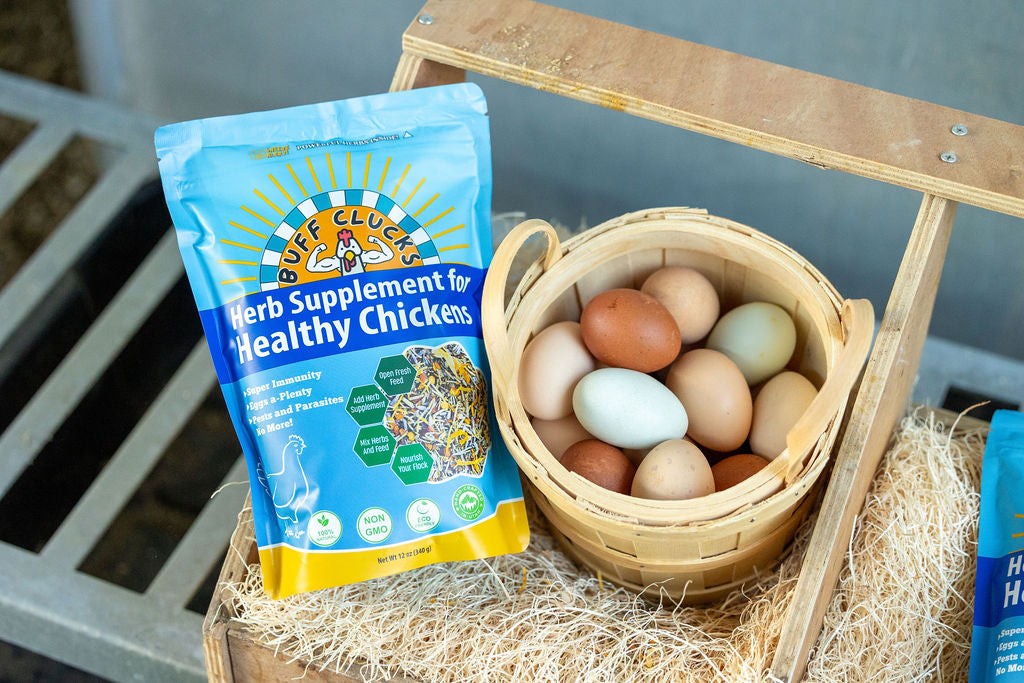 Herb Supplement For Backyard Chickens